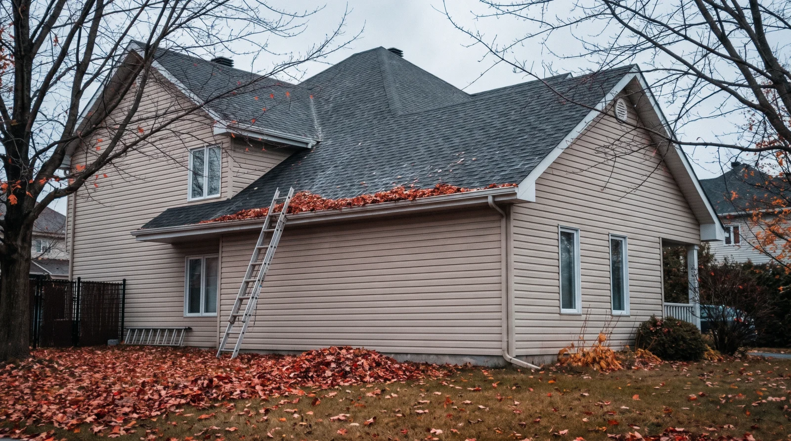 Beige vinyl-sided house with a gutter full of maple leaves and a ladder leaning against the wall, before winter